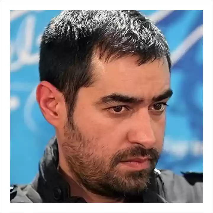 شهاب حسینی