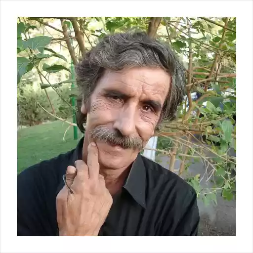 محمود بصیری